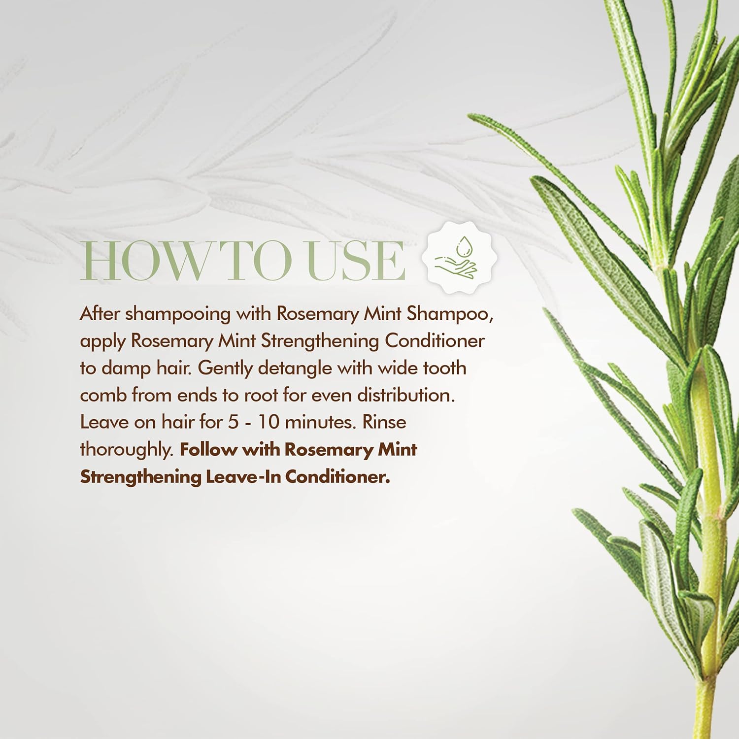 Mielle Rosemary Mint Strengthening Conditioner Hair Care Mielle   